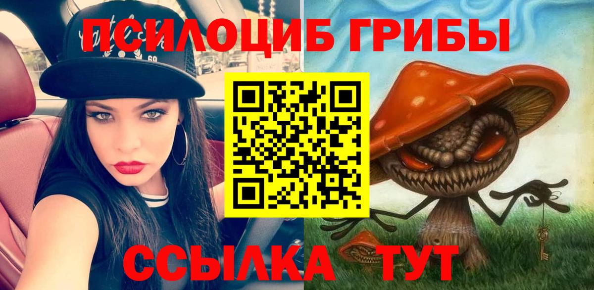 Псилоцибиновые грибы Magic Shrooms  Вход с VPN  Галлюциногенные грибы Psilocybine cubensis  Черногорск 